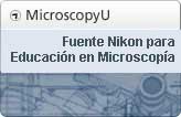 Microscopy U