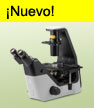 Microscopio Nikon Eclipse Ts2