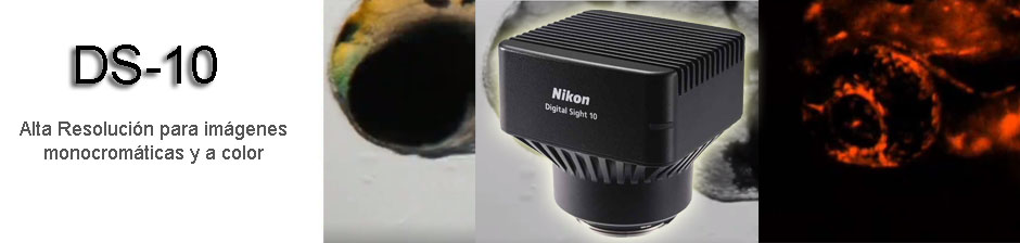 Camara Nikon Digital DS-10
