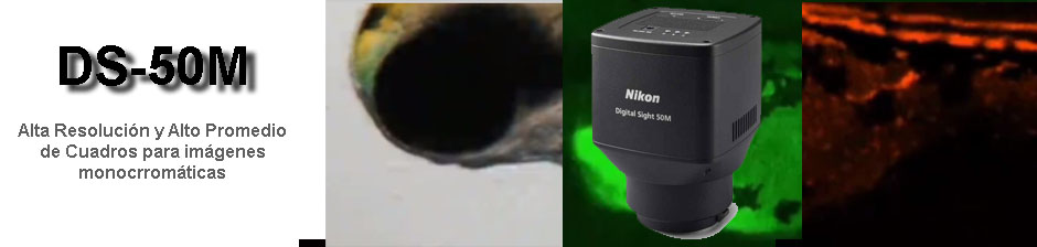 Camara Nikon Digital Monocromatica para microscopia DS-50